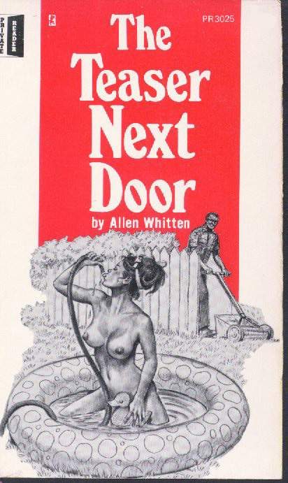 Обложка книги «The teaser next door»