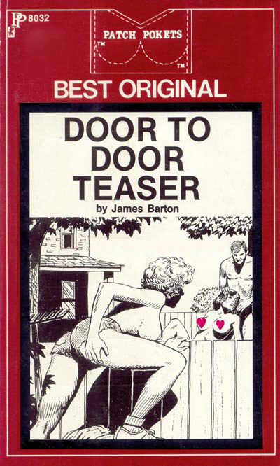 Обложка книги «Door to door teaser»