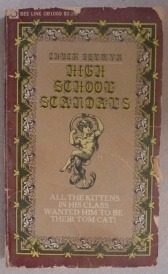 Обложка книги «High School Scandals»