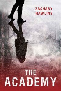 Обложка книги «The Academy»
