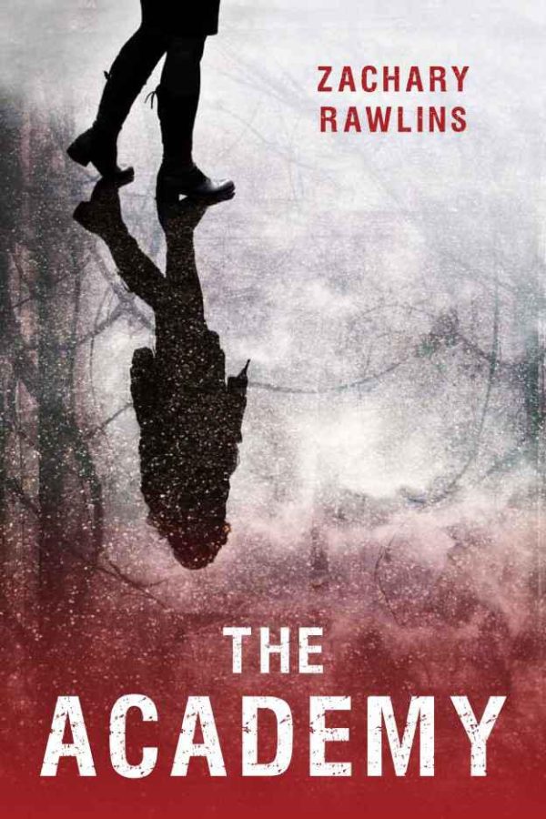 Обложка книги «The Academy»