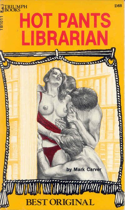 Обложка книги «Hot pants librarian»
