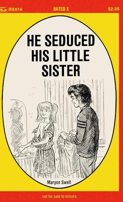 Обложка книги «He seduced his little sister»
