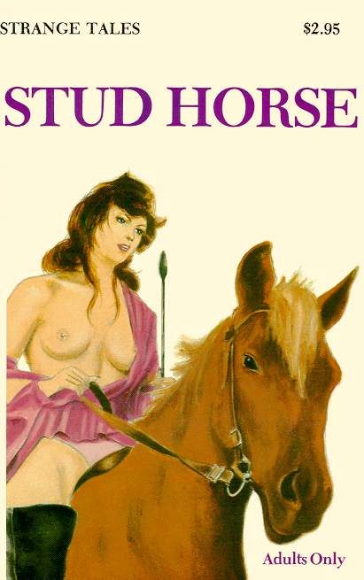 Обложка книги «Stud horse»