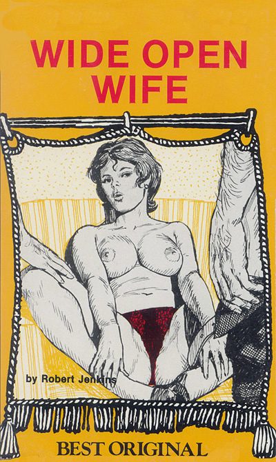 Обложка книги «Wide open wife»