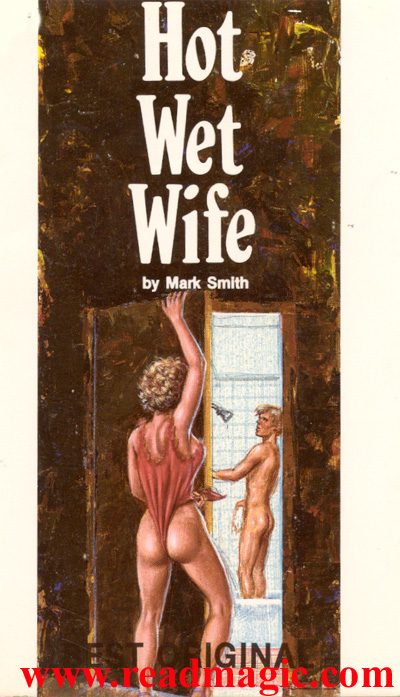 Обложка книги «Hot wet wife»