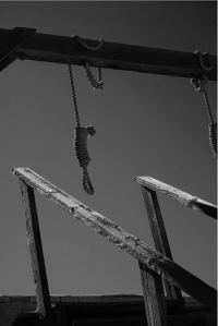 Обложка книги «Longarm and Hangman's Vengeance»