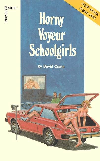 Обложка книги «Horny voyeur schoolgirls»