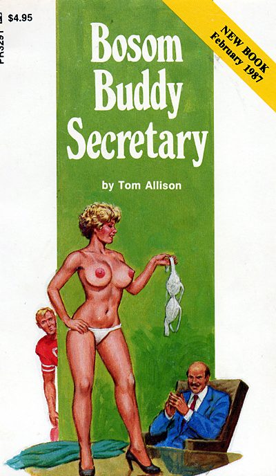 Обложка книги «Bosom buddy secretary»