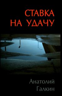 Обложка книги «Ставка на удачу»