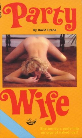 Обложка книги «Party wife»