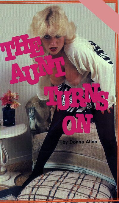 Обложка книги «The aunt turns on»