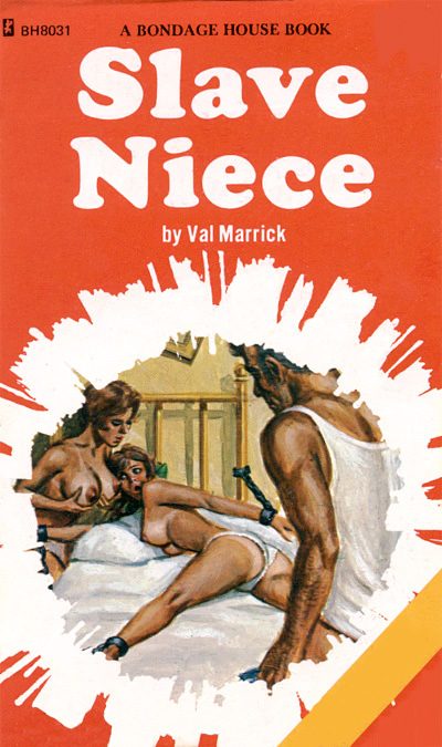 Обложка книги «Slave niece»