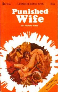 Обложка книги «Punished wife»