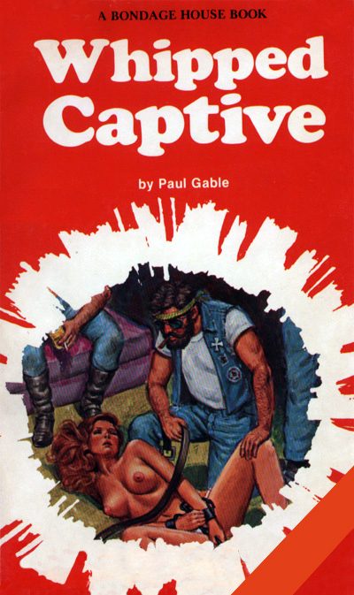 Обложка книги «Whipped captive»