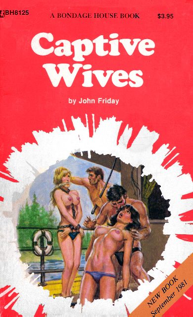 Обложка книги «Captive wives»