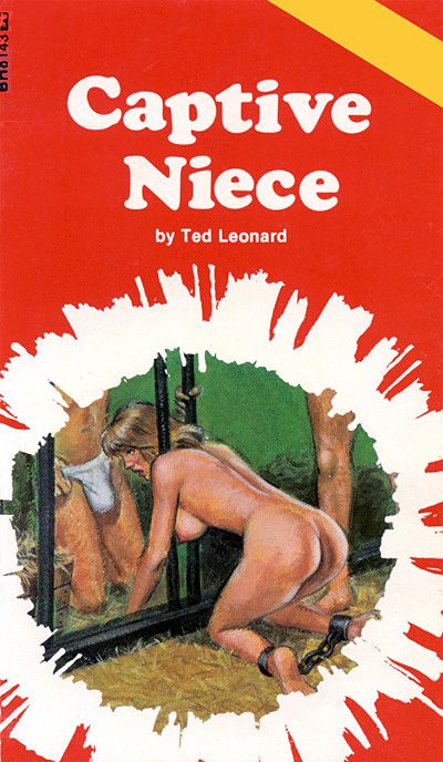 Обложка книги «Captive niece»