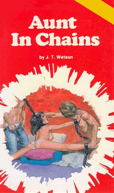 Обложка книги «Aunt in chains»