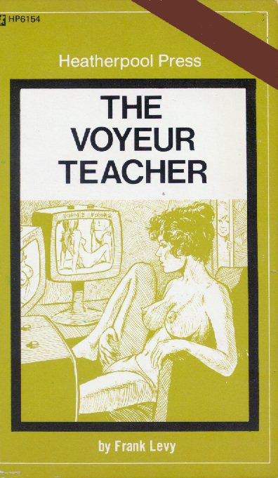 Обложка книги «The voyeur teacher»