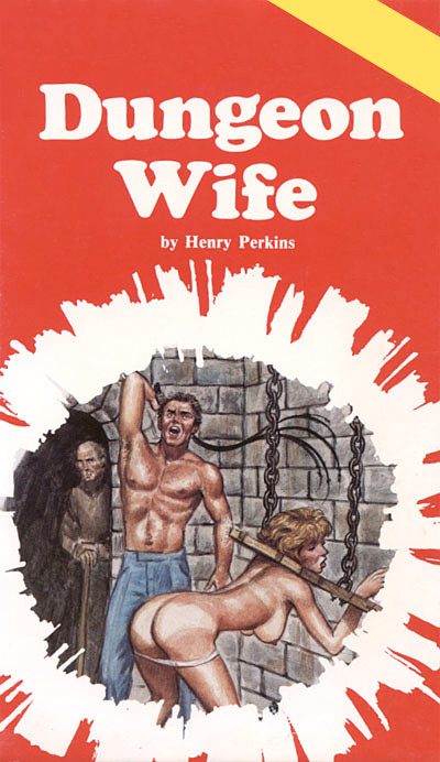 Обложка книги «Dungeon wife»