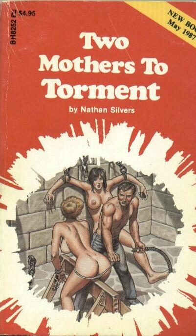 Обложка книги «Two mothers to torment»