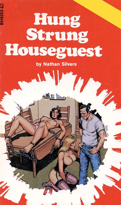 Обложка книги «Hung strung houseguest»