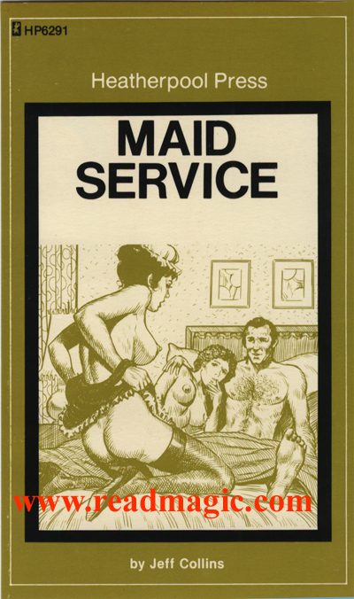 Обложка книги «Maid service»