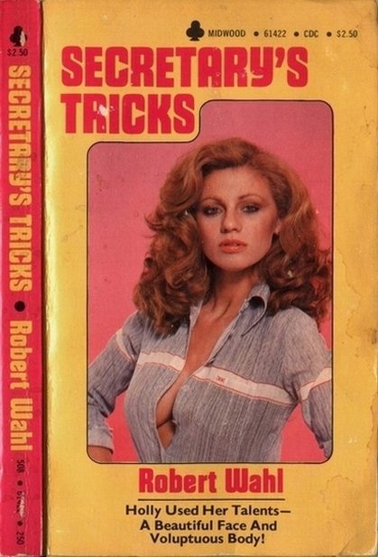 Обложка книги «Secretary's tricks»