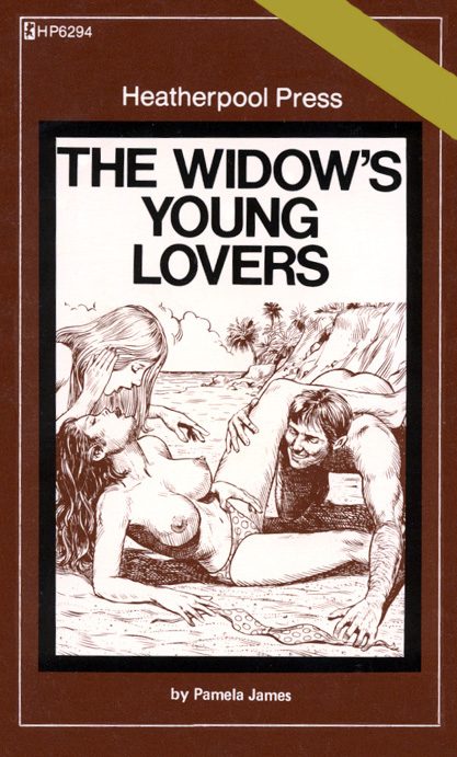 Обложка книги «The widow's young lovers»