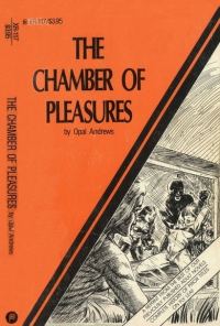 Обложка книги «The chamber of pleasures»