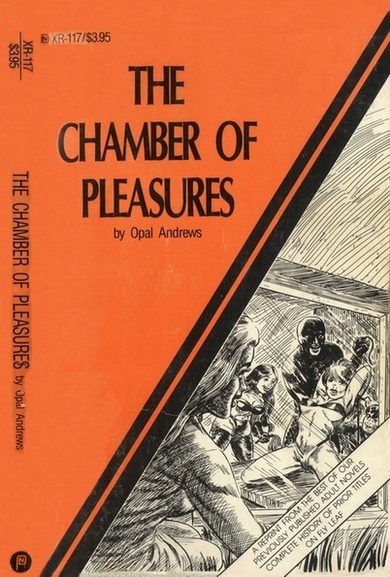 Обложка книги «The chamber of pleasures»
