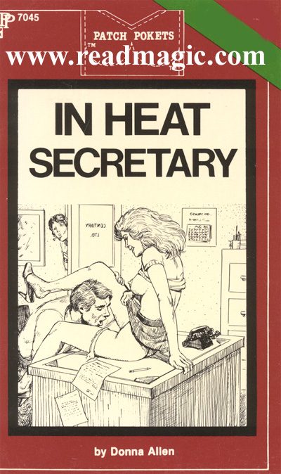 Обложка книги «In heat secretary»