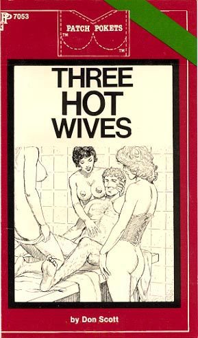 Обложка книги «Three hot wives»