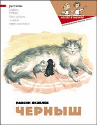 Обложка книги «Черныш»