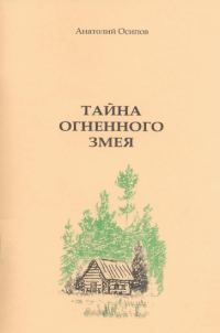 Обложка книги «Тайна огненного змея»