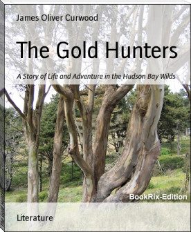 Обложка книги «The Gold Hunters»