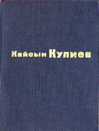 Обложка книги «Раненый камень»