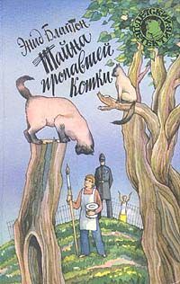Обложка книги «Тайна пропавшей кошки»