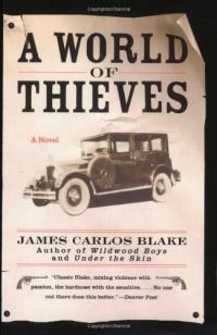 Обложка книги «A World of Thieves»