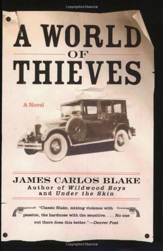 Обложка книги «A World of Thieves»