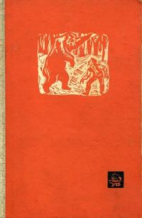 Обложка книги «Таинственное похищение»
