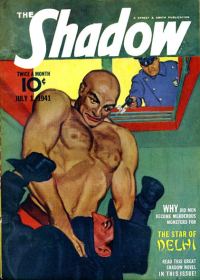 Обложка книги «The Star of Delhi»