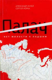 Обложка книги «Палач. Нет милости к падшим»