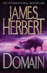 Обложка книги «Domain»