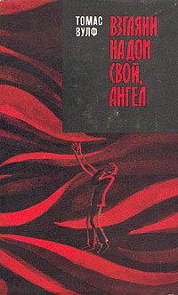 Обложка книги «Взгляни на дом свой, ангел»