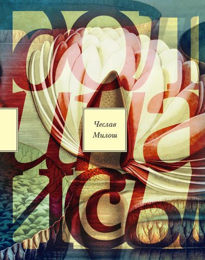 Обложка книги «Долина Иссы»