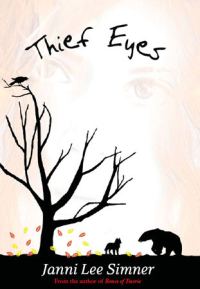 Обложка книги «Thief Eyes»