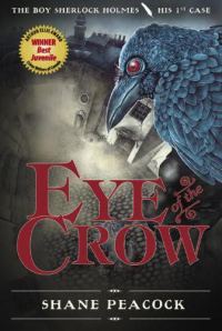 Обложка книги «Eye of the Crow»