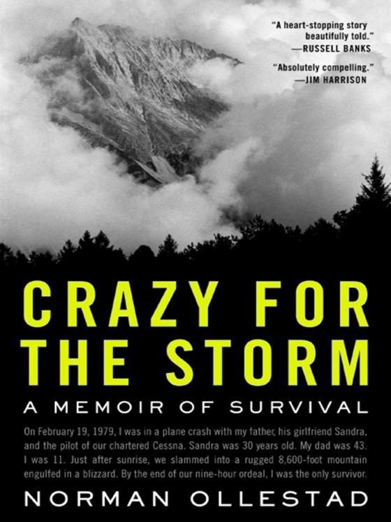 Обложка книги «Crazy for the Storm»