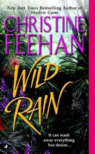 Обложка книги «Wild Rain»
